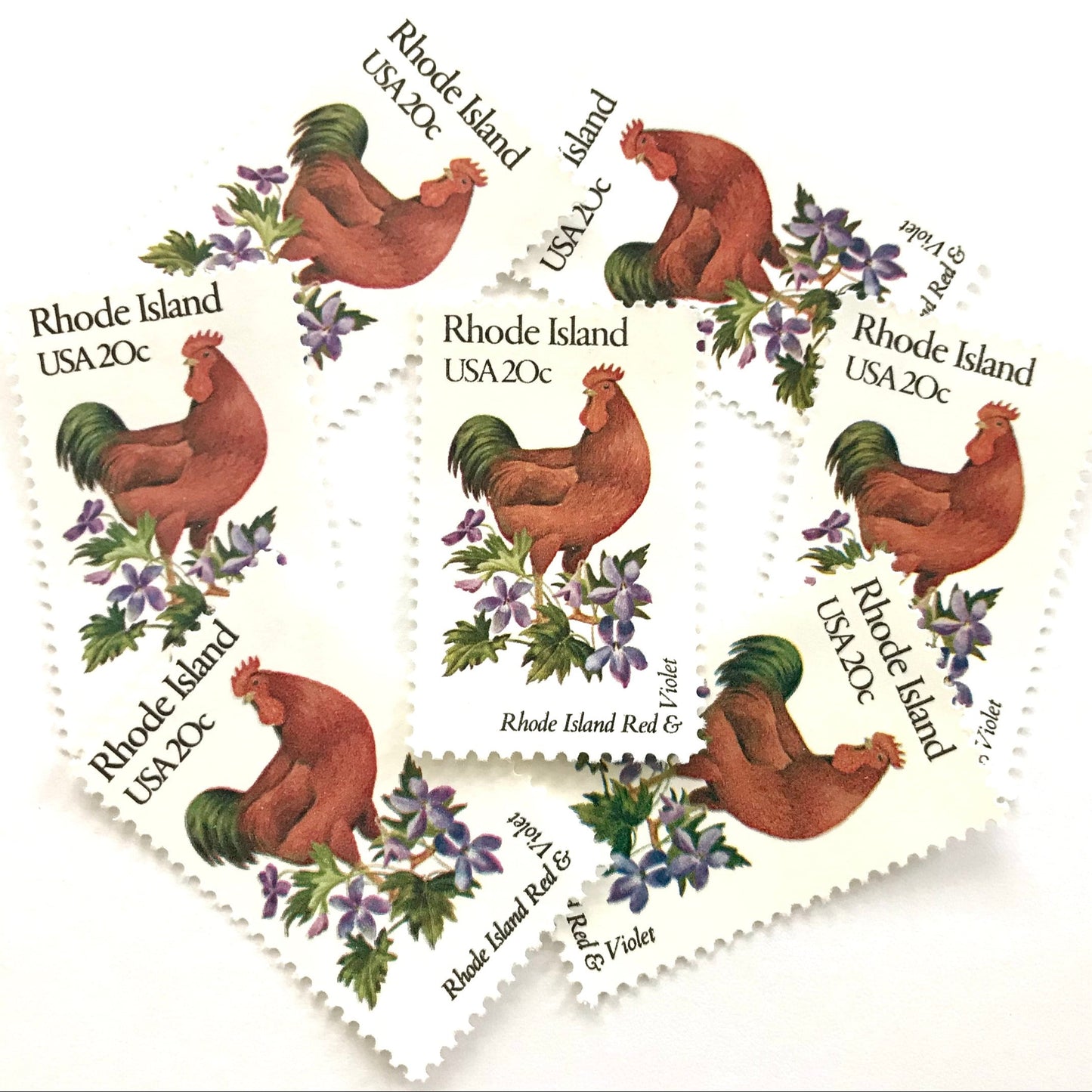 Rhode Island State Bird and Flower postage stamps from 1982 featuring a Rhode Island Red Rooster and Violet on vintage unused 20-cent USPS postage, Scott 1991.