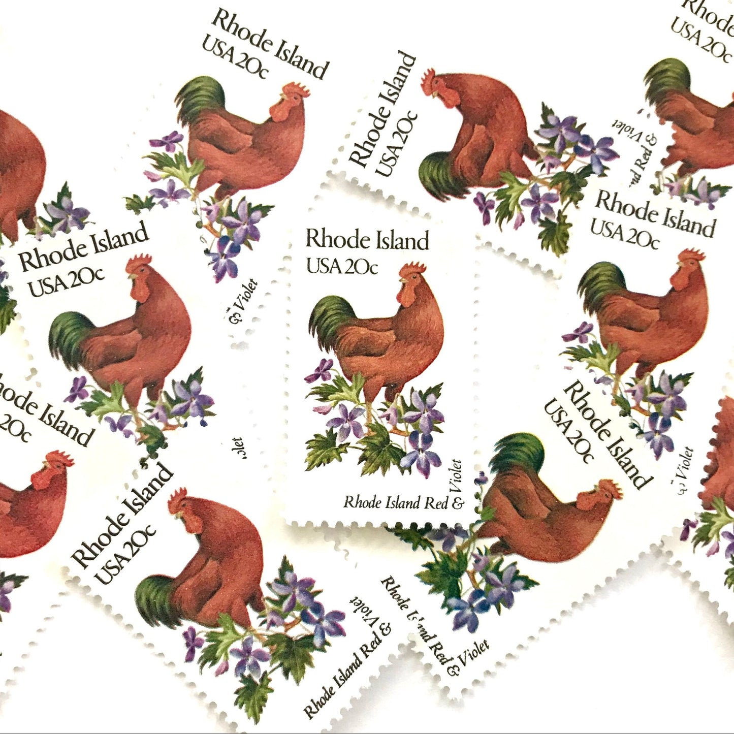 Rhode Island State Bird and Flower postage stamps from 1982 featuring a Rhode Island Red Rooster and Violet on vintage unused 20-cent USPS postage, Scott 1991.
