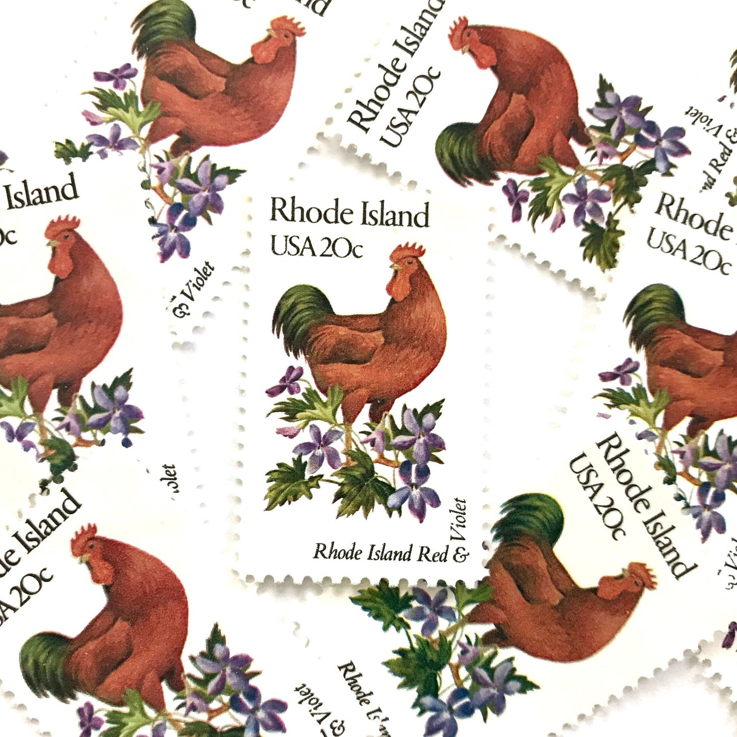 Rhode Island State Bird and Flower postage stamps from 1982 featuring a Rhode Island Red Rooster and Violet on vintage unused 20-cent USPS postage, Scott 1991.