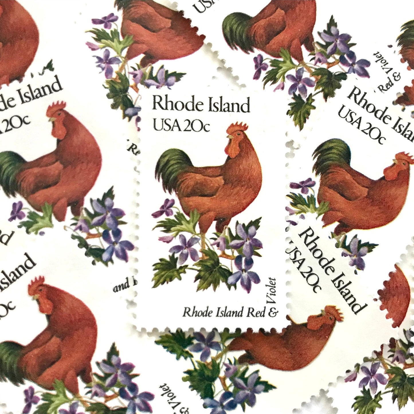 Rhode Island State Bird and Flower postage stamps from 1982 featuring a Rhode Island Red Rooster and Violet on vintage unused 20-cent USPS postage, Scott 1991.