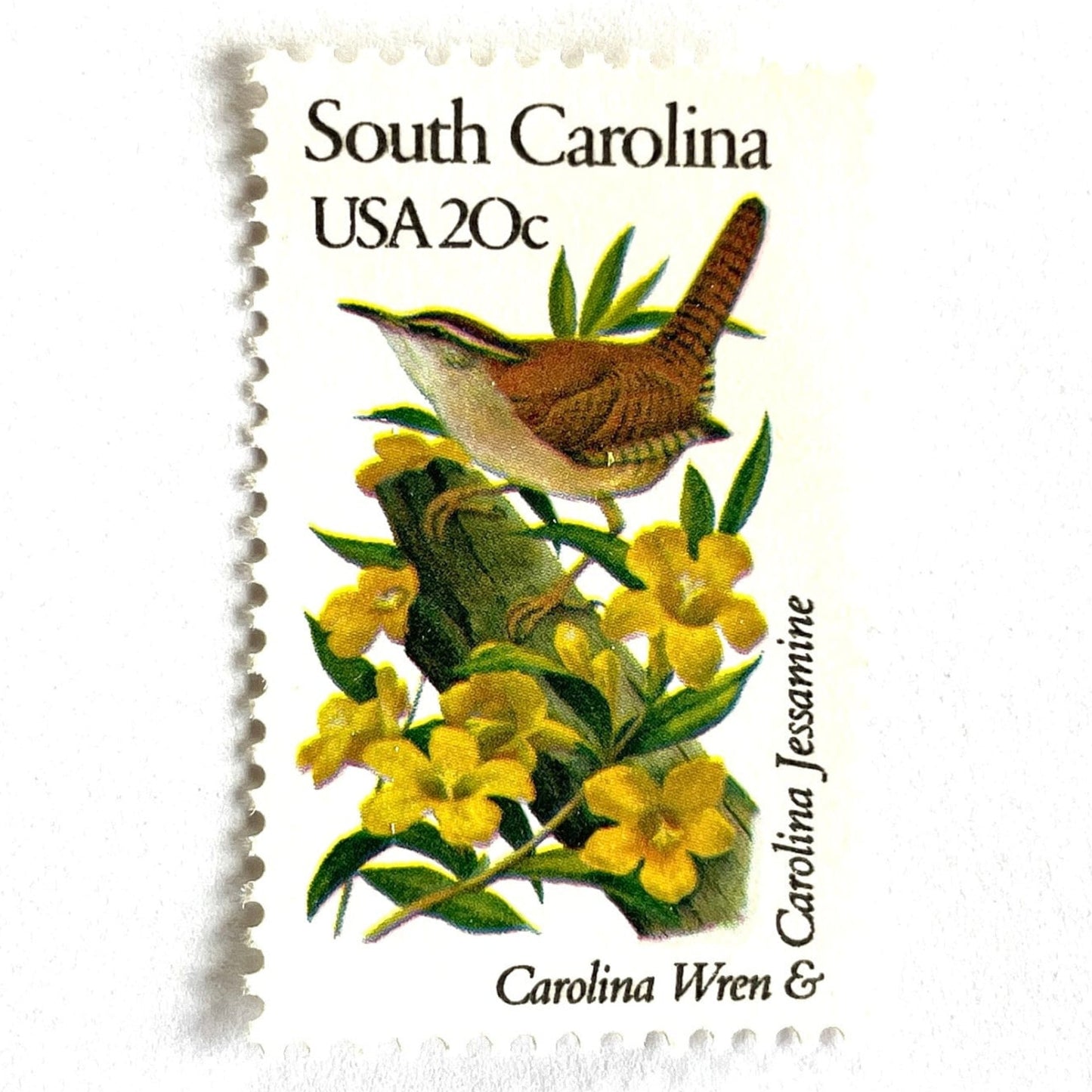 South Carolina State Bird and Flower postage stamps from 1982 featuring a Carolina Wren and Carolina Jessamine on vintage unused 20-cent USPS postage, Scott 1992.