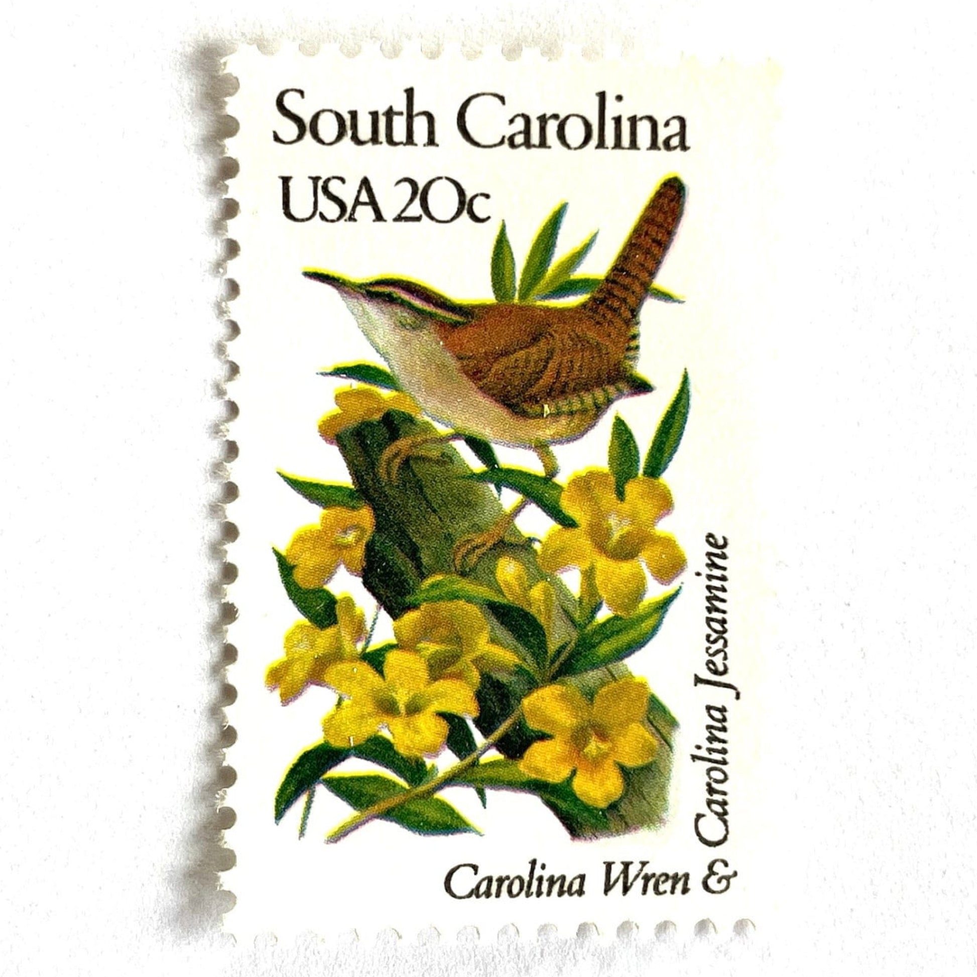 South Carolina State Bird and Flower postage stamps from 1982 featuring a Carolina Wren and Carolina Jessamine on vintage unused 20-cent USPS postage, Scott 1992.