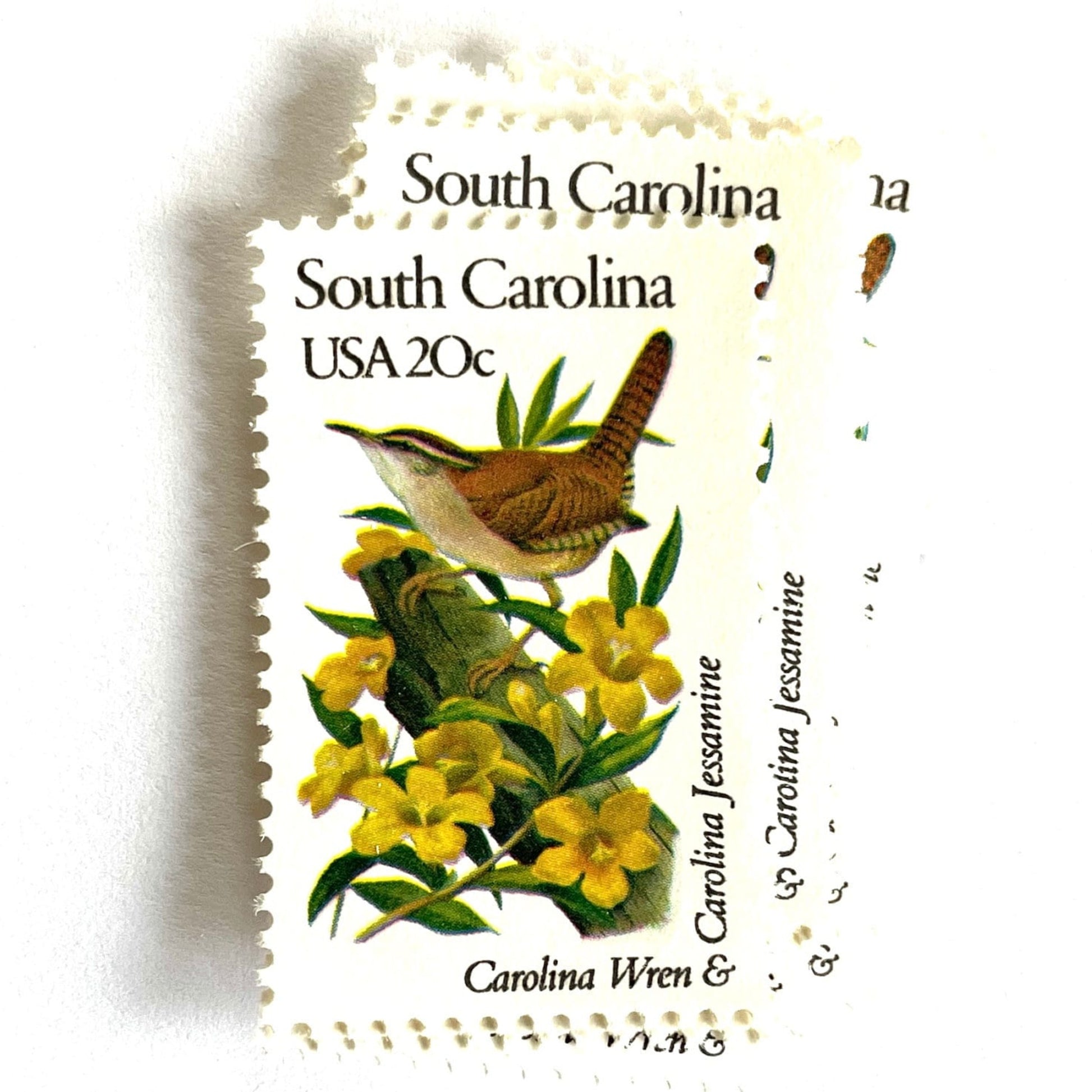 South Carolina State Bird and Flower postage stamps from 1982 featuring a Carolina Wren and Carolina Jessamine on vintage unused 20-cent USPS postage, Scott 1992.