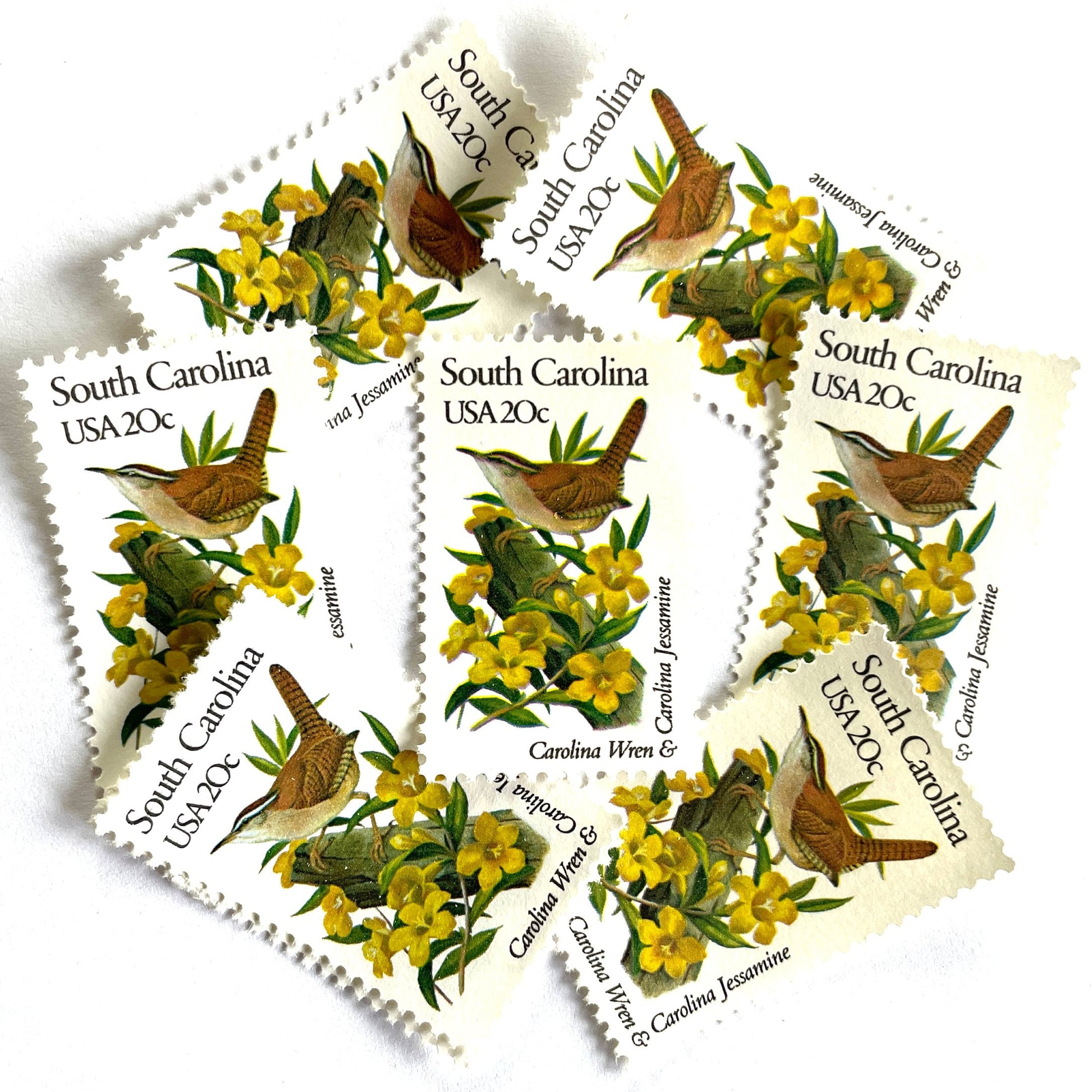 South Carolina State Bird and Flower postage stamps from 1982 featuring a Carolina Wren and Carolina Jessamine on vintage unused 20-cent USPS postage, Scott 1992.