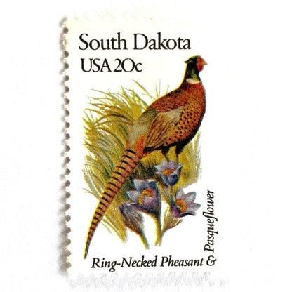 South Dakota State Bird and Flower postage stamp from 1982 featuring a Ring-Necked Pheasant and Pasqueflower on vintage unused 20-cent USPS postage, Scott 1993.