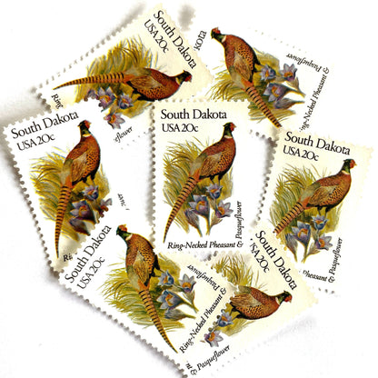 South Dakota State Bird and Flower postage stamps from 1982 featuring a Ring-Necked Pheasant and Pasqueflower on vintage unused 20-cent USPS postage, Scott 1993.