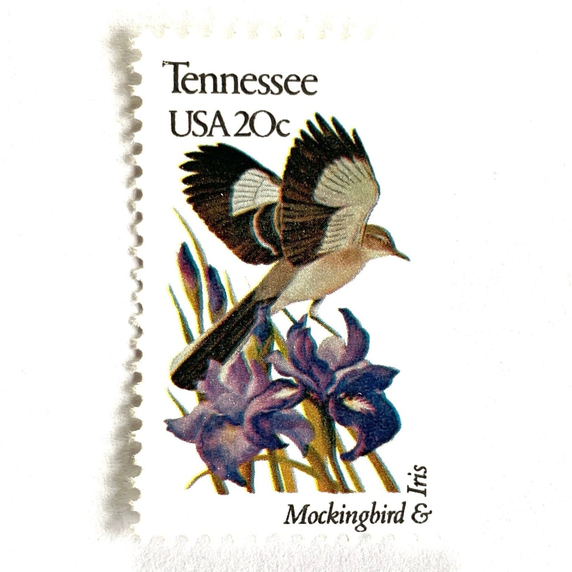 Tennessee State Bird and Flower postage stamp from 1982 featuring a Mockingbird and Iris on vintage unused 20-cent USPS postage, Scott 1994.