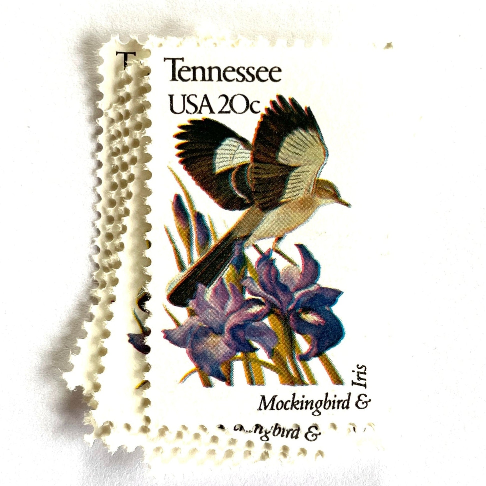 Tennessee State Bird and Flower postage stamps from 1982 featuring a Mockingbird and Iris on vintage unused 20-cent USPS postage, Scott 1994.