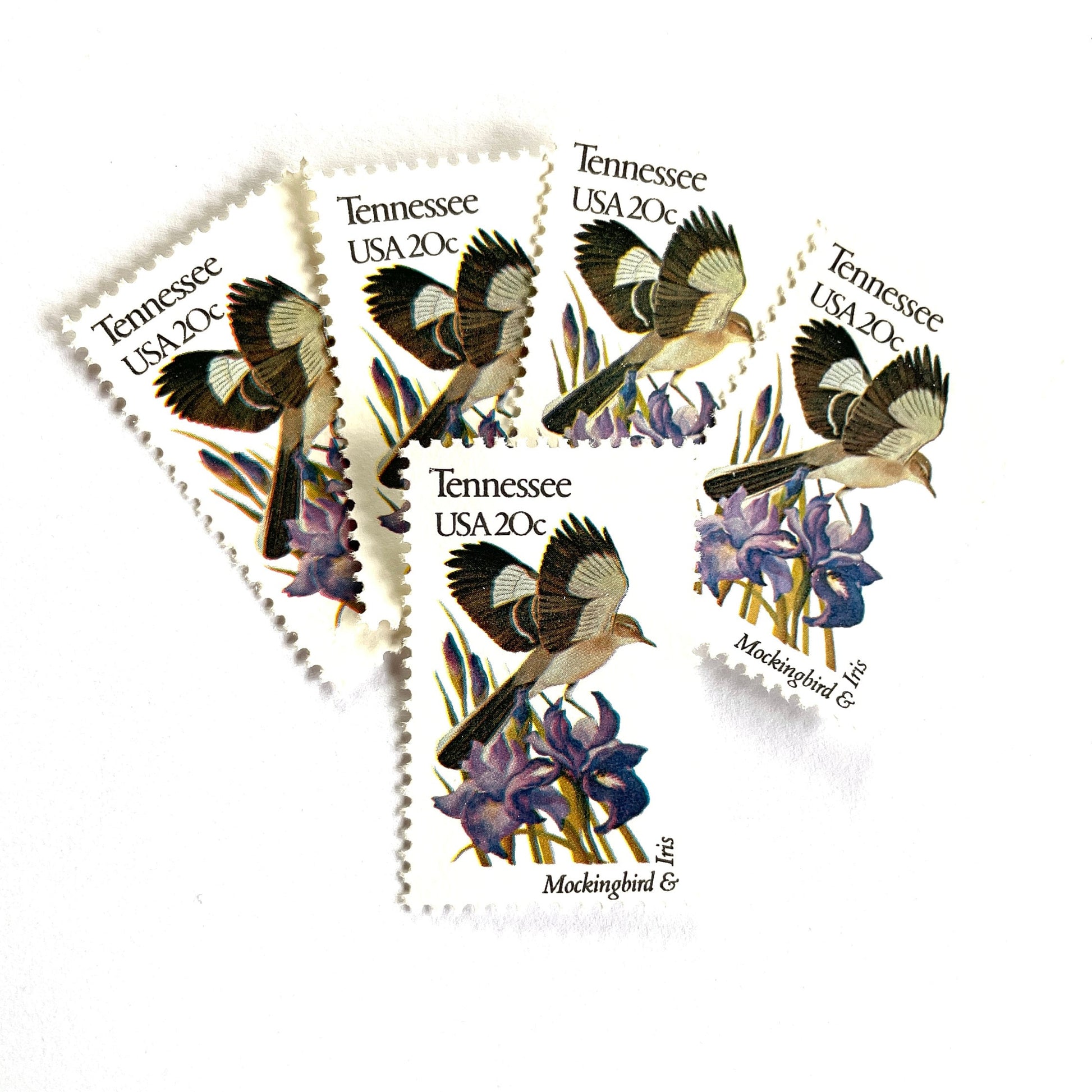 Tennessee State Bird and Flower postage stamps from 1982 featuring a Mockingbird and Iris on vintage unused 20-cent USPS postage, Scott 1994.