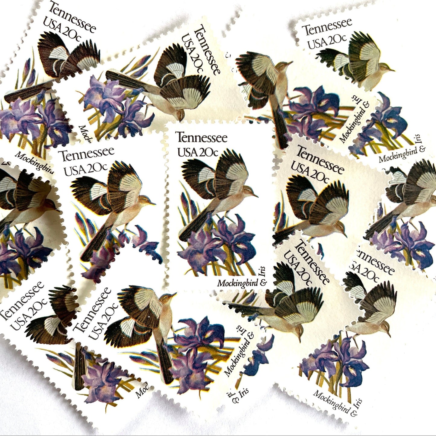 Tennessee State Bird and Flower postage stamps from 1982 featuring a Mockingbird and Iris on vintage unused 20-cent USPS postage, Scott 1994.