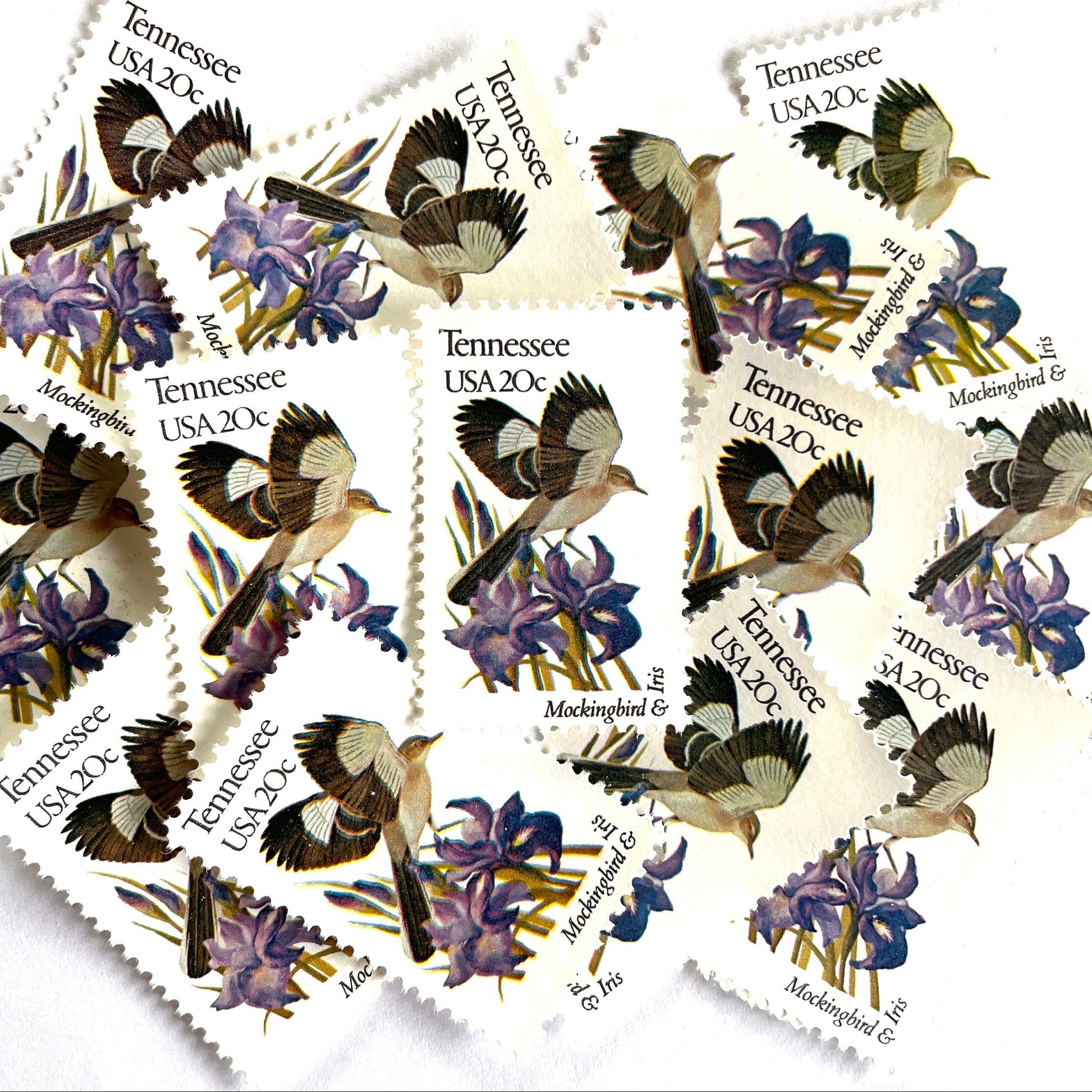 Tennessee State Bird and Flower postage stamps from 1982 featuring a Mockingbird and Iris on vintage unused 20-cent USPS postage, Scott 1994.