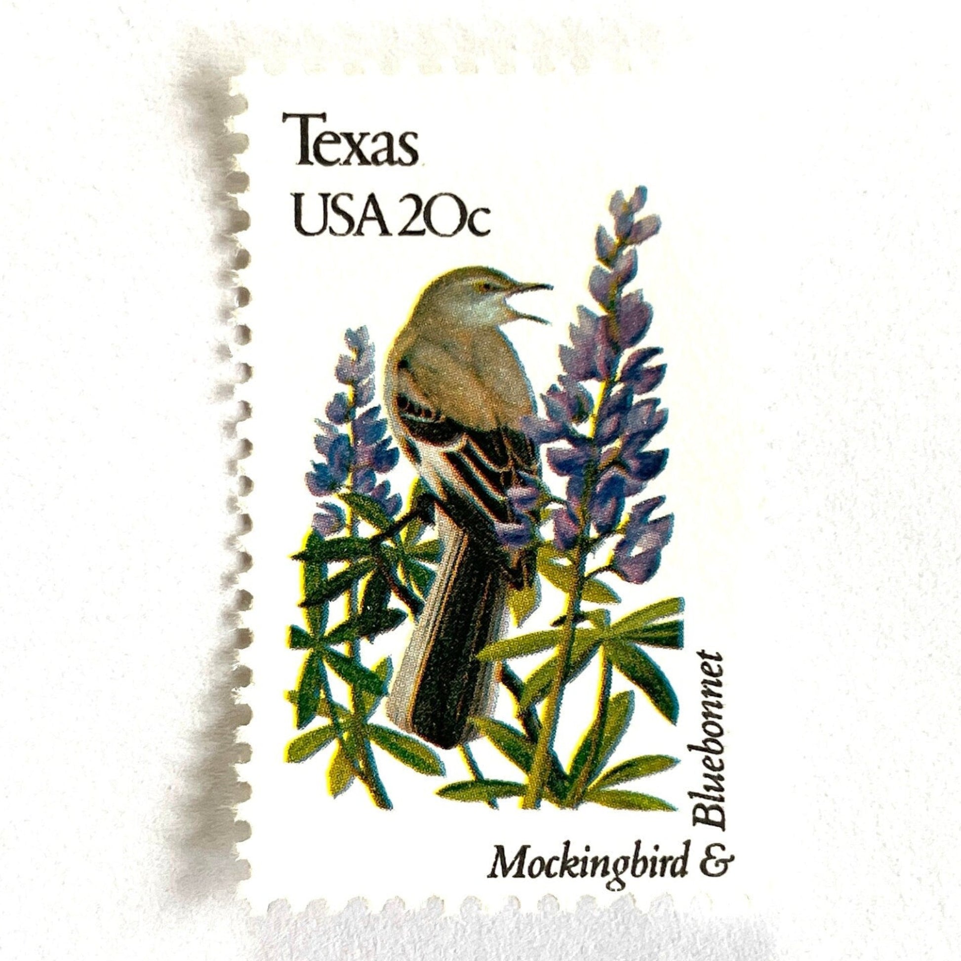 Texas State Bird and Flower postage stamp from 1982 featuring a Mockingbird and Bluebonnet on vintage unused 20-cent USPS postage, Scott 1995.
