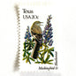 Texas State Bird and Flower postage stamp from 1982 featuring a Mockingbird and Bluebonnet on vintage unused 20-cent USPS postage, Scott 1995.