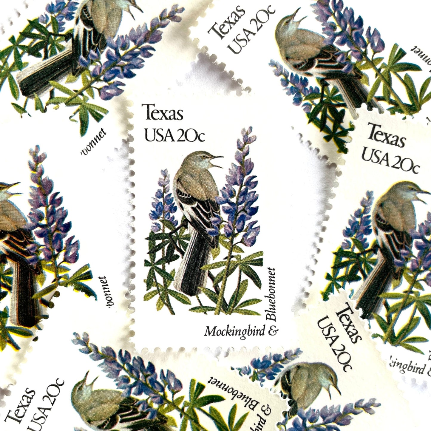 Texas State Bird and Flower postage stamps from 1982 featuring a Mockingbird and Bluebonnet on vintage unused 20-cent USPS postage, Scott 1995.