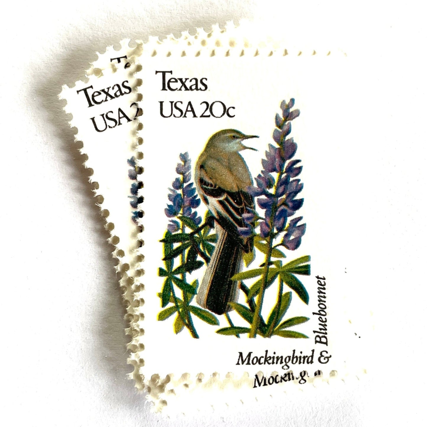 Texas State Bird and Flower postage stamps from 1982 featuring a Mockingbird and Bluebonnet on vintage unused 20-cent USPS postage, Scott 1995.