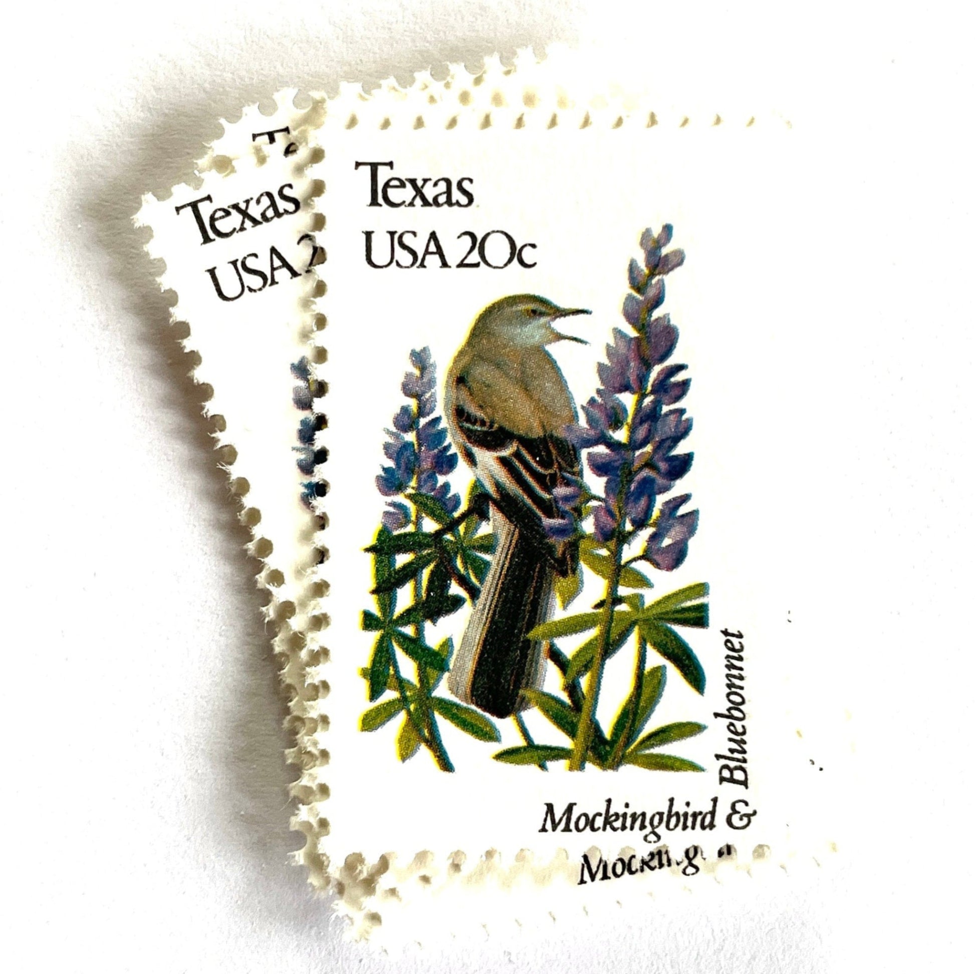 Texas State Bird and Flower postage stamps from 1982 featuring a Mockingbird and Bluebonnet on vintage unused 20-cent USPS postage, Scott 1995.