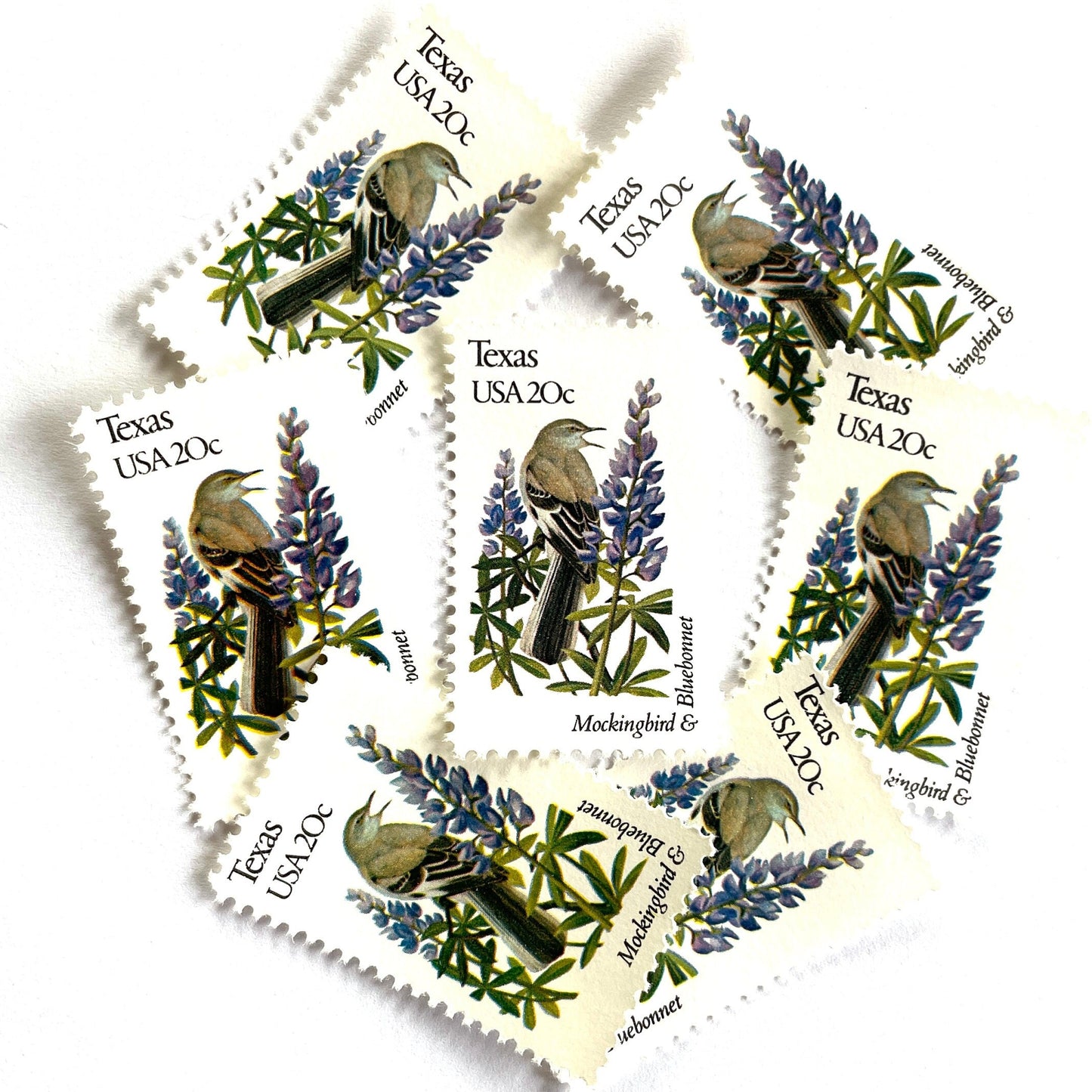 Texas State Bird and Flower postage stamps from 1982 featuring a Mockingbird and Bluebonnet on vintage unused 20-cent USPS postage, Scott 1995.
