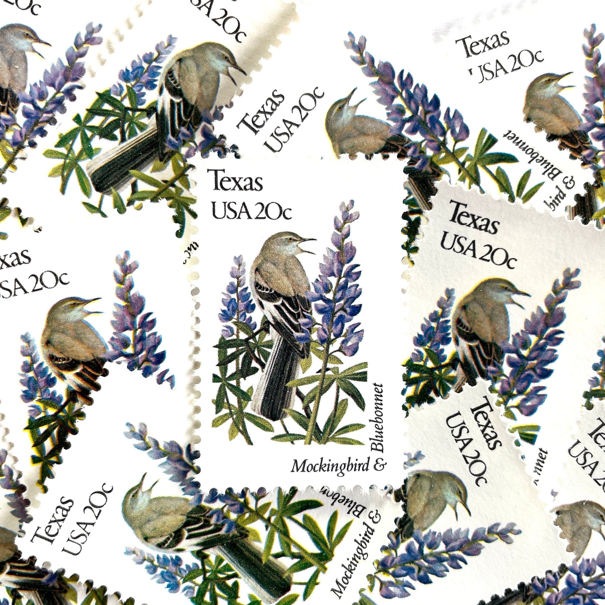 Texas State Bird and Flower postage stamps from 1982 featuring a Mockingbird and Bluebonnet on vintage unused 20-cent USPS postage, Scott 1995.