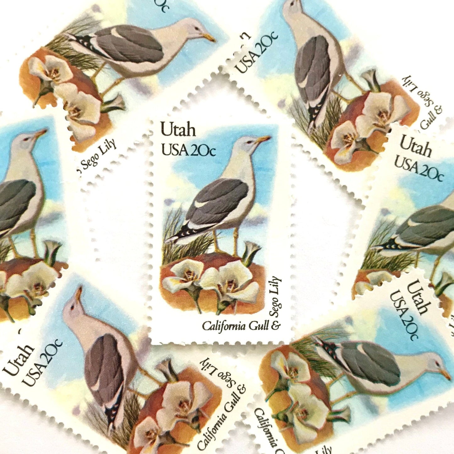 Utah State Bird and Flower postage stamps from 1982 featuring a California Gull and Sego Lily on vintage unused 20-cent USPS postage, Scott 1996.