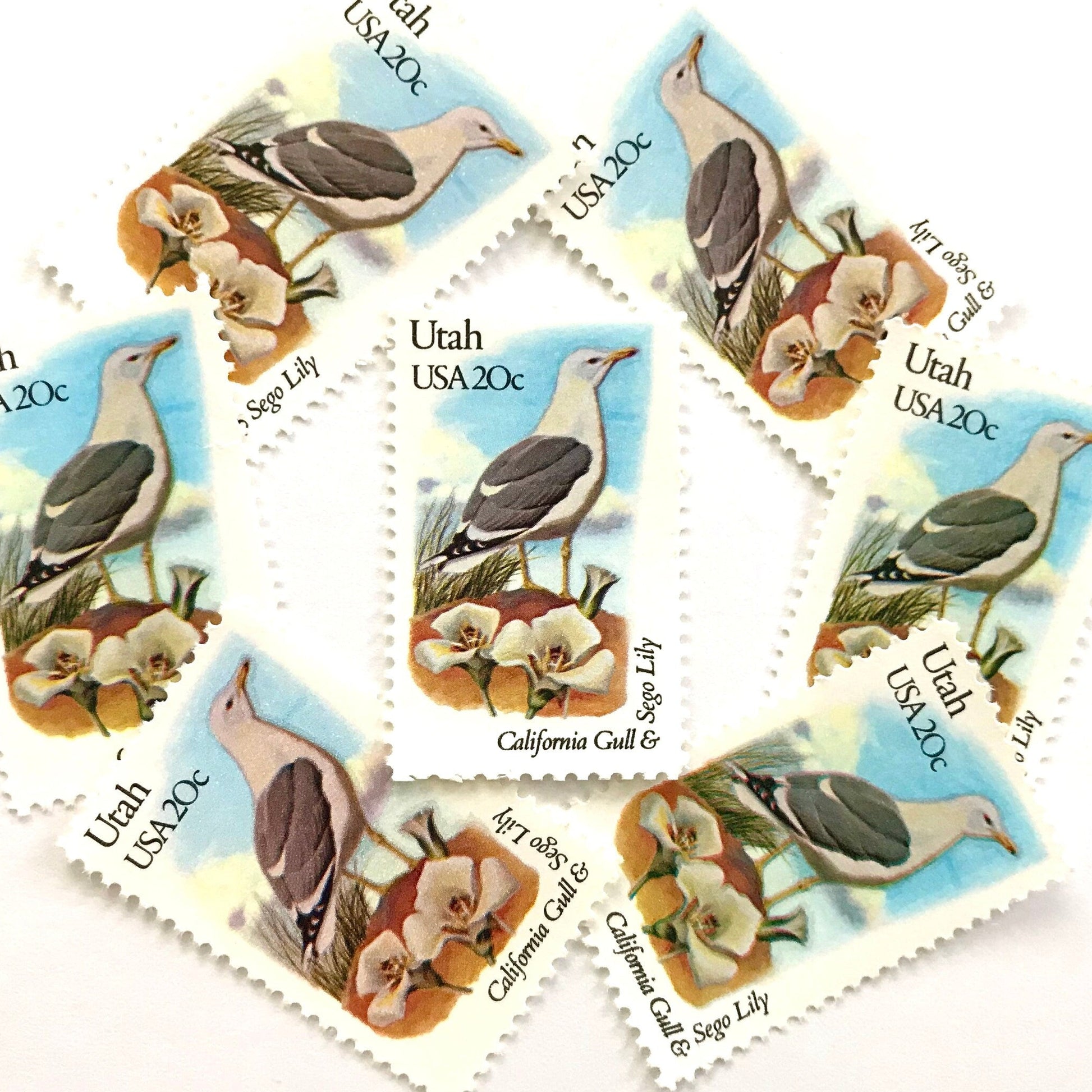 Utah State Bird and Flower postage stamps from 1982 featuring a California Gull and Sego Lily on vintage unused 20-cent USPS postage, Scott 1996.