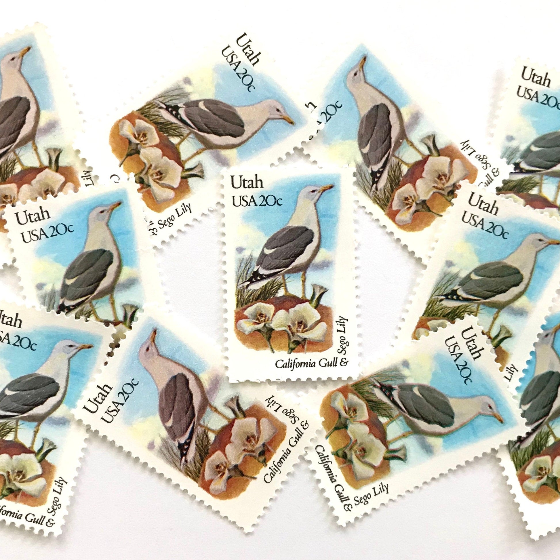 Utah State Bird and Flower postage stamps from 1982 featuring a California Gull and Sego Lily on vintage unused 20-cent USPS postage, Scott 1996.