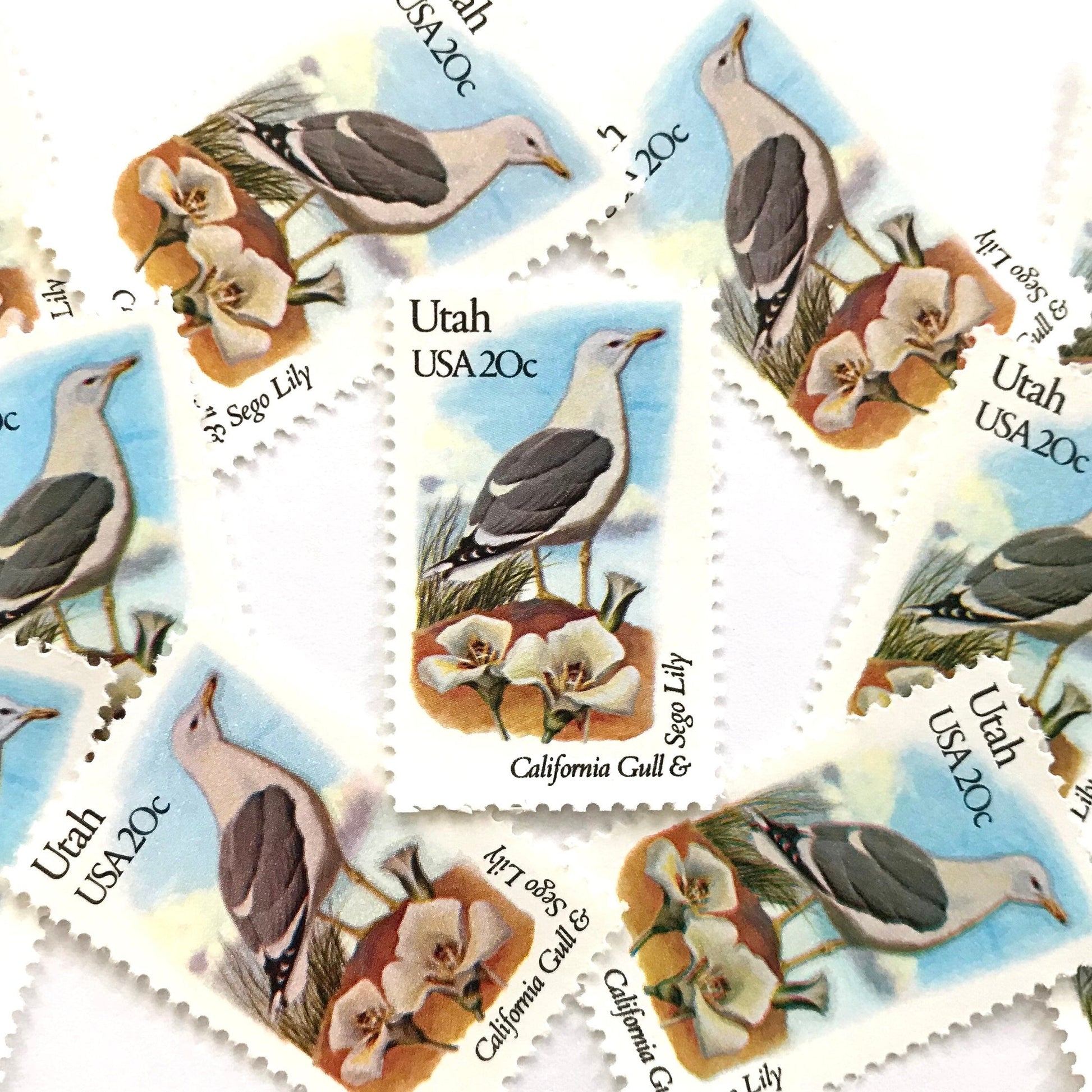 Utah State Bird and Flower postage stamps from 1982 featuring a California Gull and Sego Lily on vintage unused 20-cent USPS postage, Scott 1996.