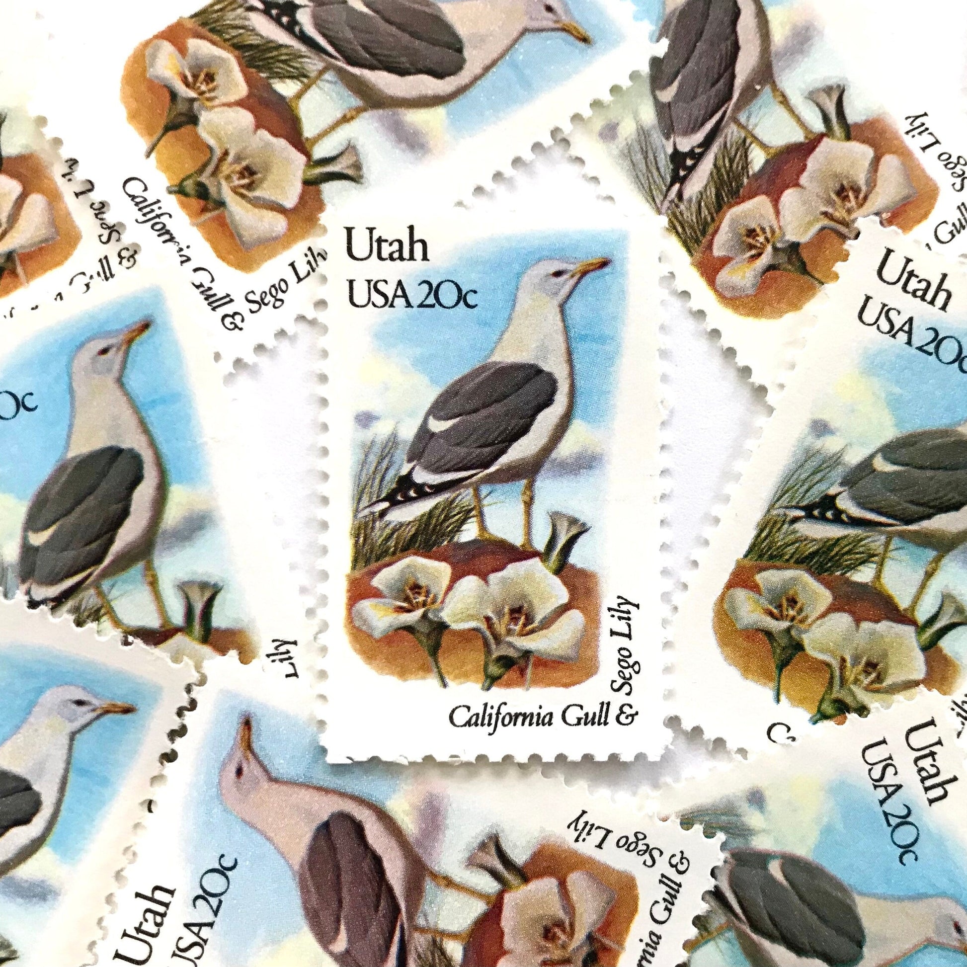 Utah State Bird and Flower postage stamps from 1982 featuring a California Gull and Sego Lily on vintage unused 20-cent USPS postage, Scott 1996.