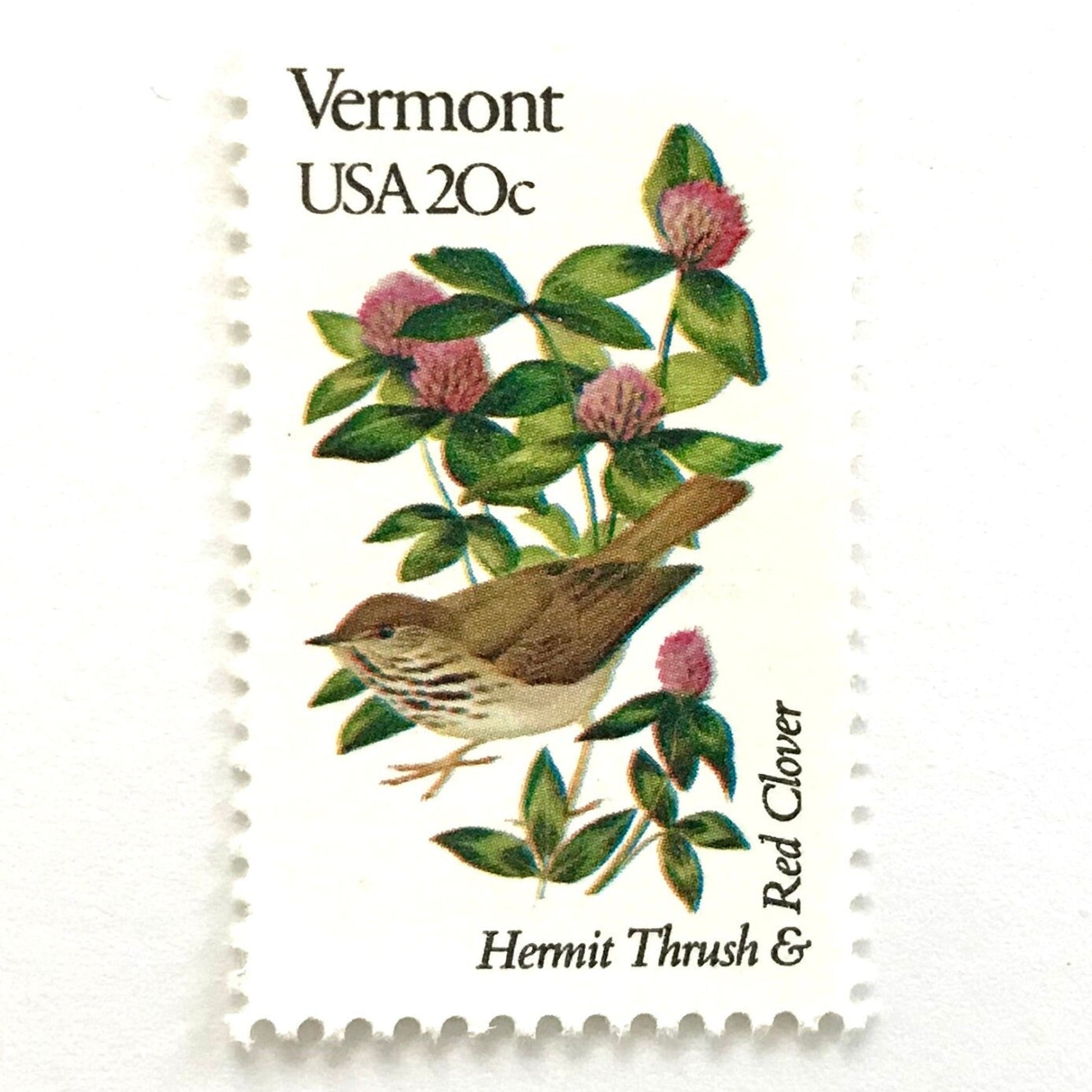 Vermont State Bird and Flower postage stamp from 1982 featuring a Hermit Thrush and Red Clover on vintage unused 20-cent USPS postage, Scott 1997.