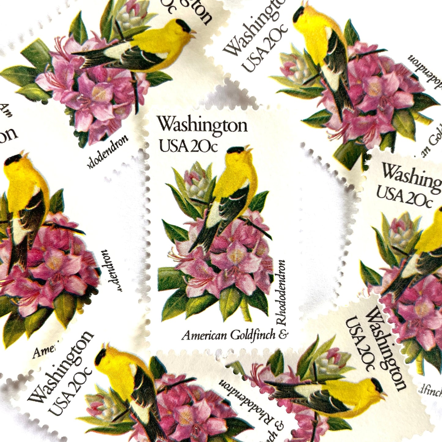 Washington State Bird and Flower postage stamps from 1982 featuring a Willow Goldfinch and Coast Rhododendron on vintage unused 20-cent USPS postage, Scott 1999.