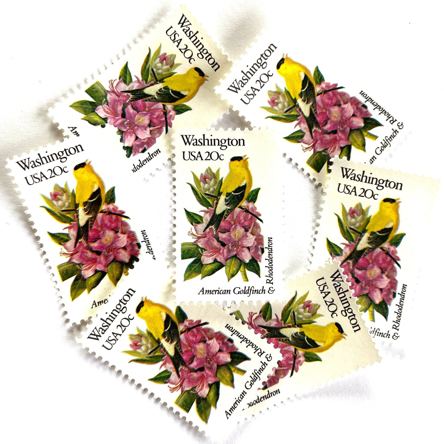 Washington State Bird and Flower postage stamps from 1982 featuring a Willow Goldfinch and Coast Rhododendron on vintage unused 20-cent USPS postage, Scott 1999.