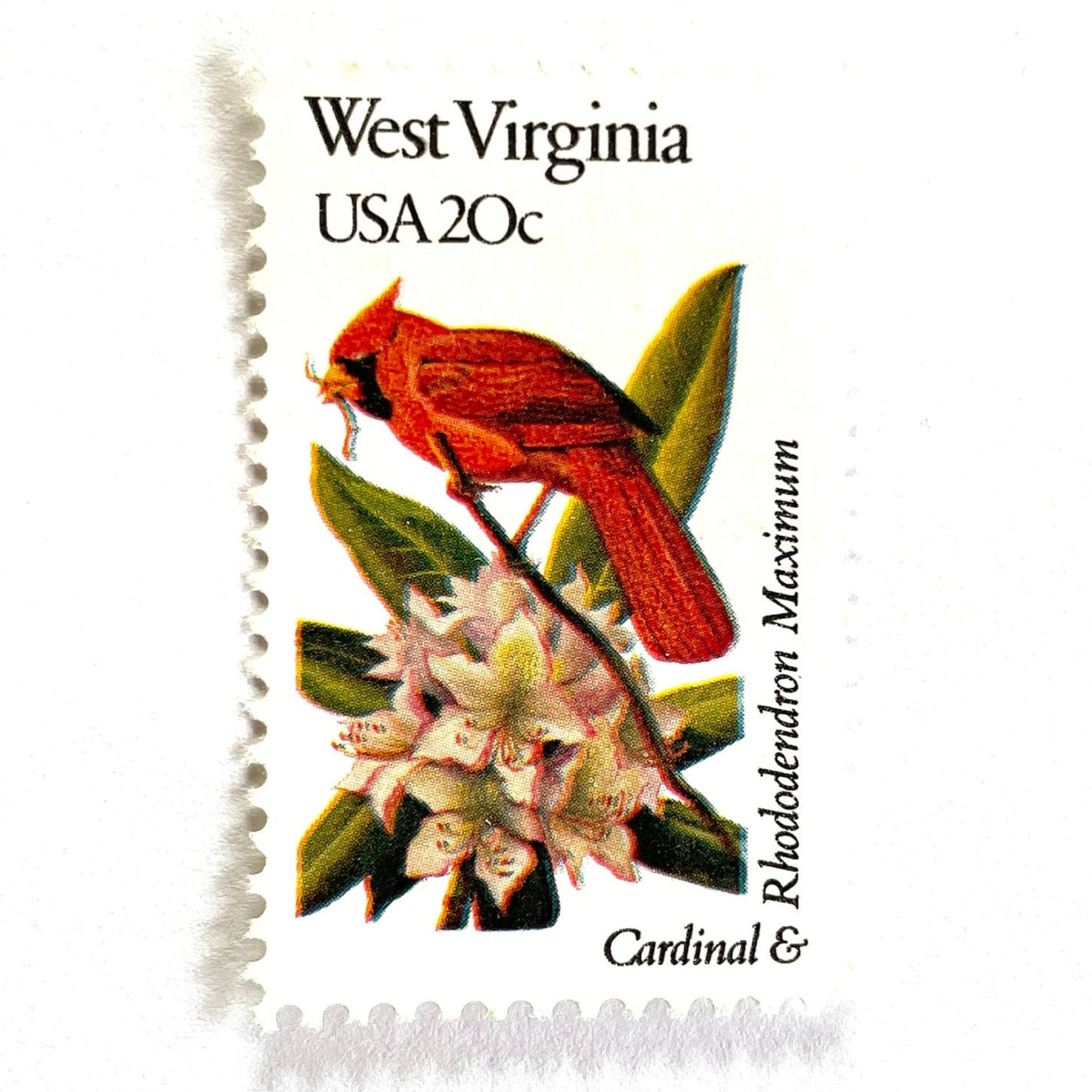West Virginia State Bird and Flower postage stamp from 1982 featuring a Cardinal and Rhododendron on vintage unused 20-cent USPS postage, Scott 2000.