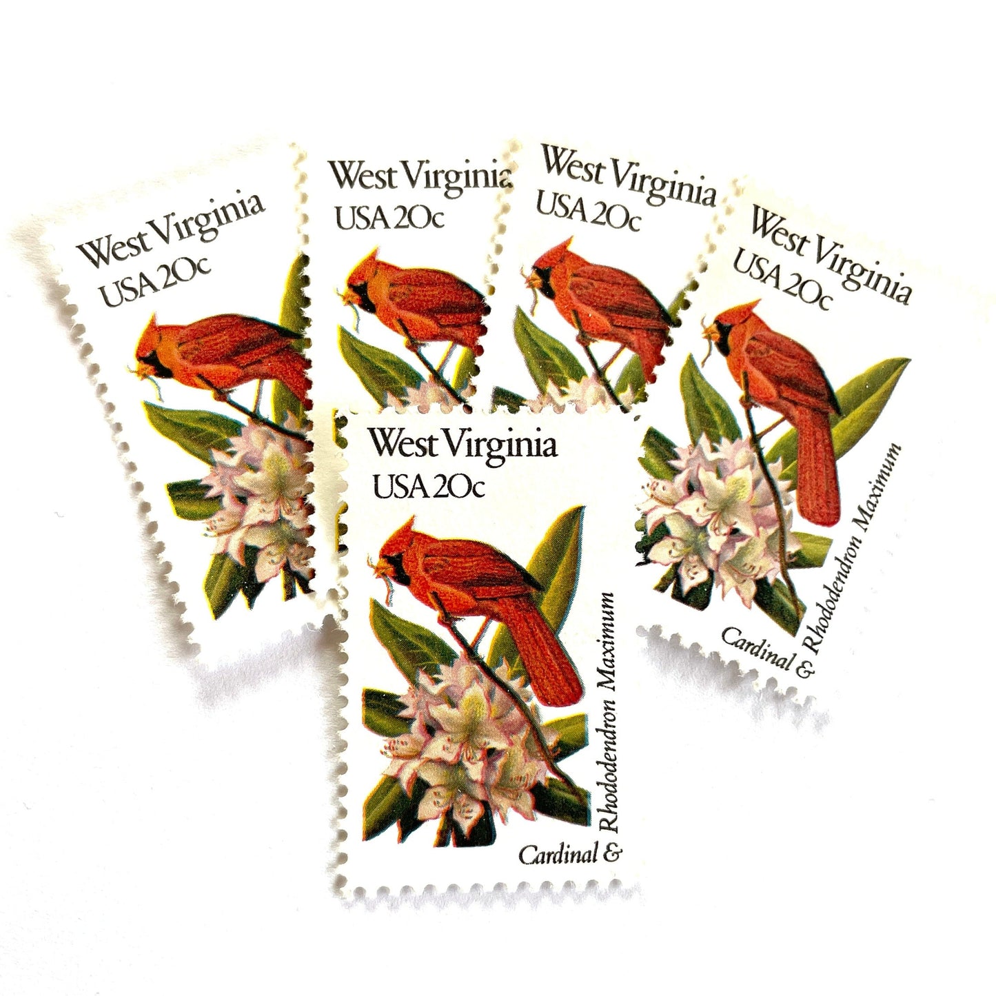 West Virginia State Bird and Flower postage stamps from 1982 featuring a Cardinal and Rhododendron on vintage unused 20-cent USPS postage, Scott 2000.