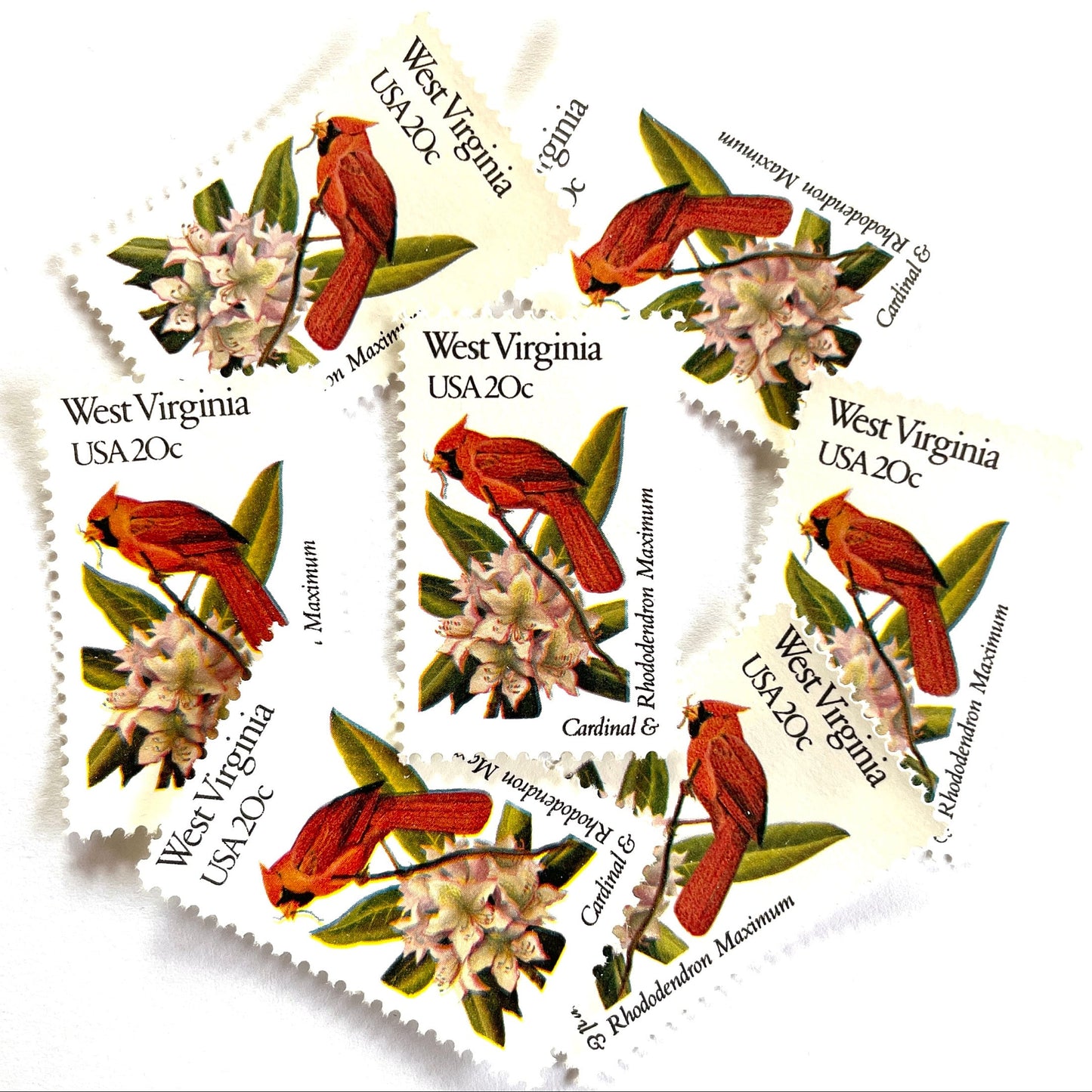 West Virginia State Bird and Flower postage stamps from 1982 featuring a Cardinal and Rhododendron on vintage unused 20-cent USPS postage, Scott 2000.