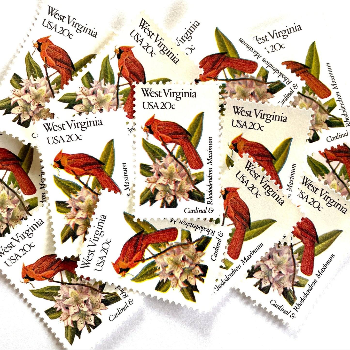 West Virginia State Bird and Flower postage stamps from 1982 featuring a Cardinal and Rhododendron on vintage unused 20-cent USPS postage, Scott 2000.