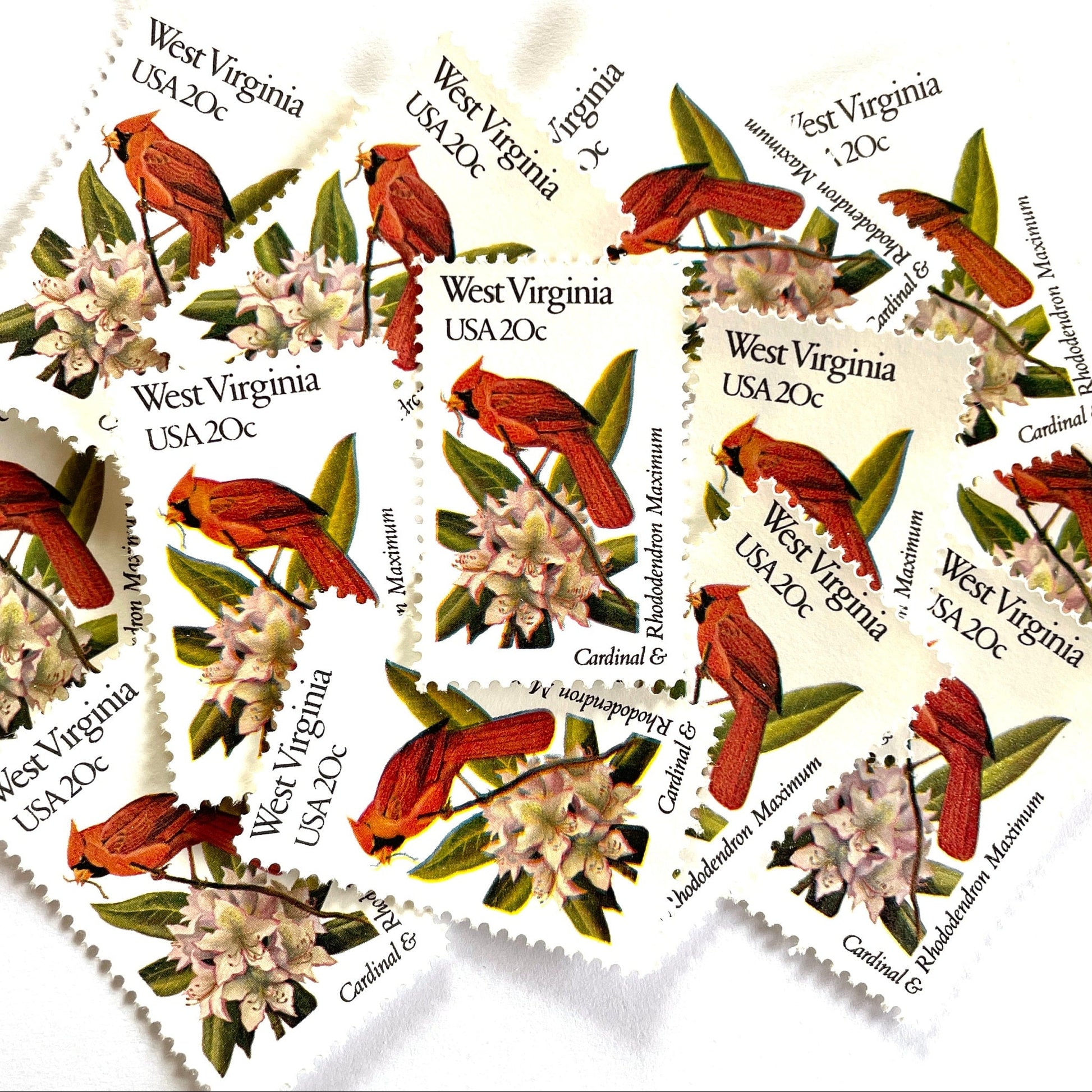 West Virginia State Bird and Flower postage stamps from 1982 featuring a Cardinal and Rhododendron on vintage unused 20-cent USPS postage, Scott 2000.