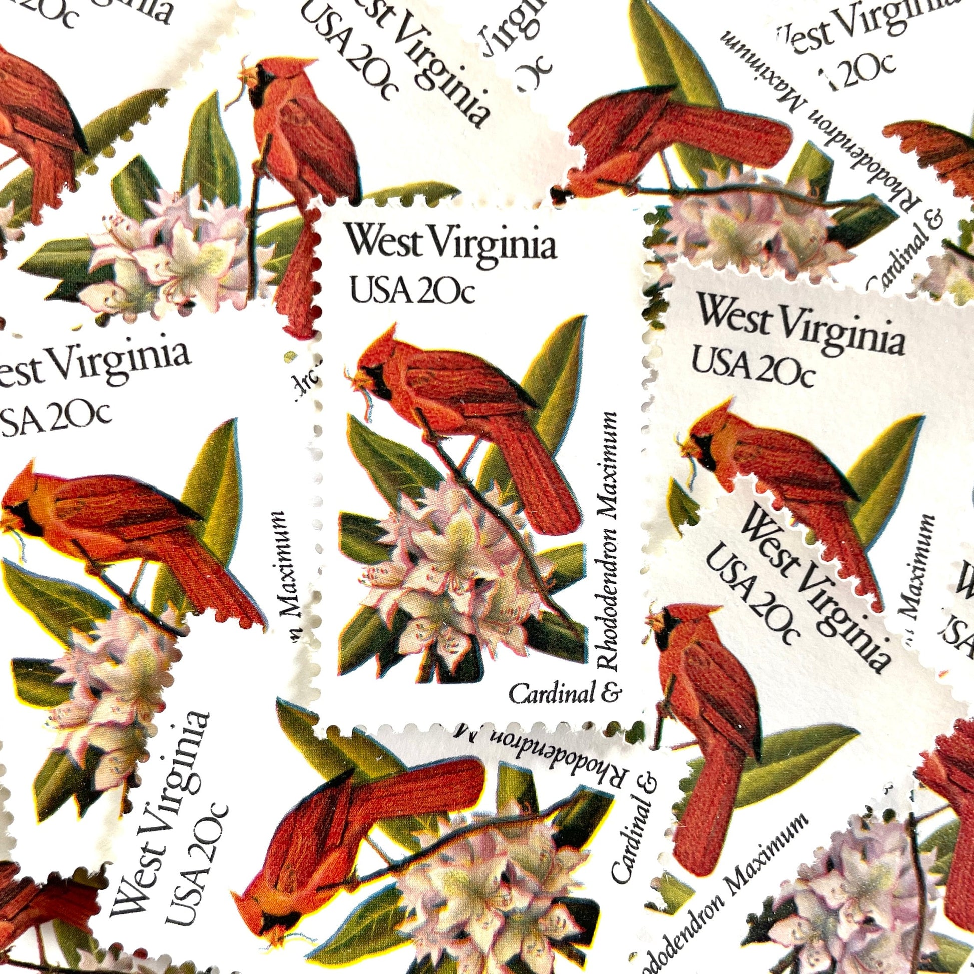 West Virginia State Bird and Flower postage stamps from 1982 featuring a Cardinal and Rhododendron on vintage unused 20-cent USPS postage, Scott 2000.