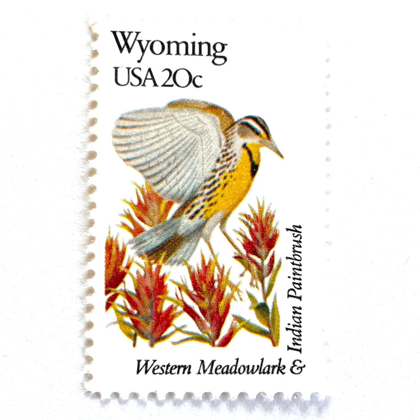 Wyoming State Bird and Flower postage stamp from 1982 featuring a Western Meadowlark and Indian Paintbrush on vintage unused 20-cent USPS postage, Scott 2002.