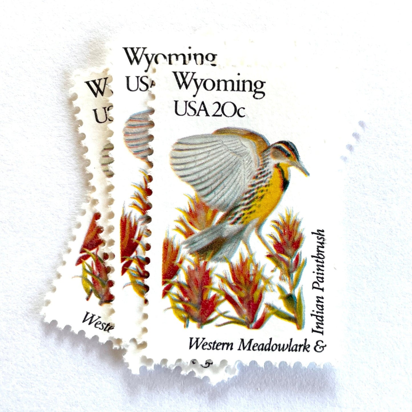 Wyoming State Bird and Flower postage stamps from 1982 featuring a Western Meadowlark and Indian Paintbrush on vintage unused 20-cent USPS postage, Scott 2002.
