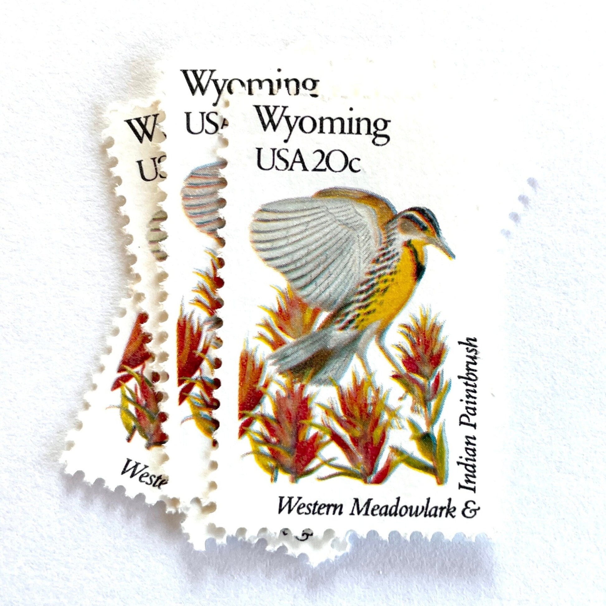 Wyoming State Bird and Flower postage stamps from 1982 featuring a Western Meadowlark and Indian Paintbrush on vintage unused 20-cent USPS postage, Scott 2002.