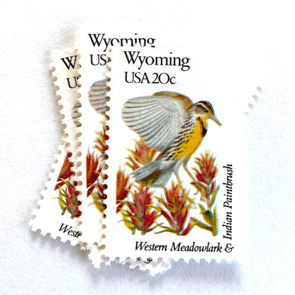 Wyoming State Bird and Flower postage stamps from 1982 featuring a Western Meadowlark and Indian Paintbrush on vintage unused 20-cent USPS postage, Scott 2002.