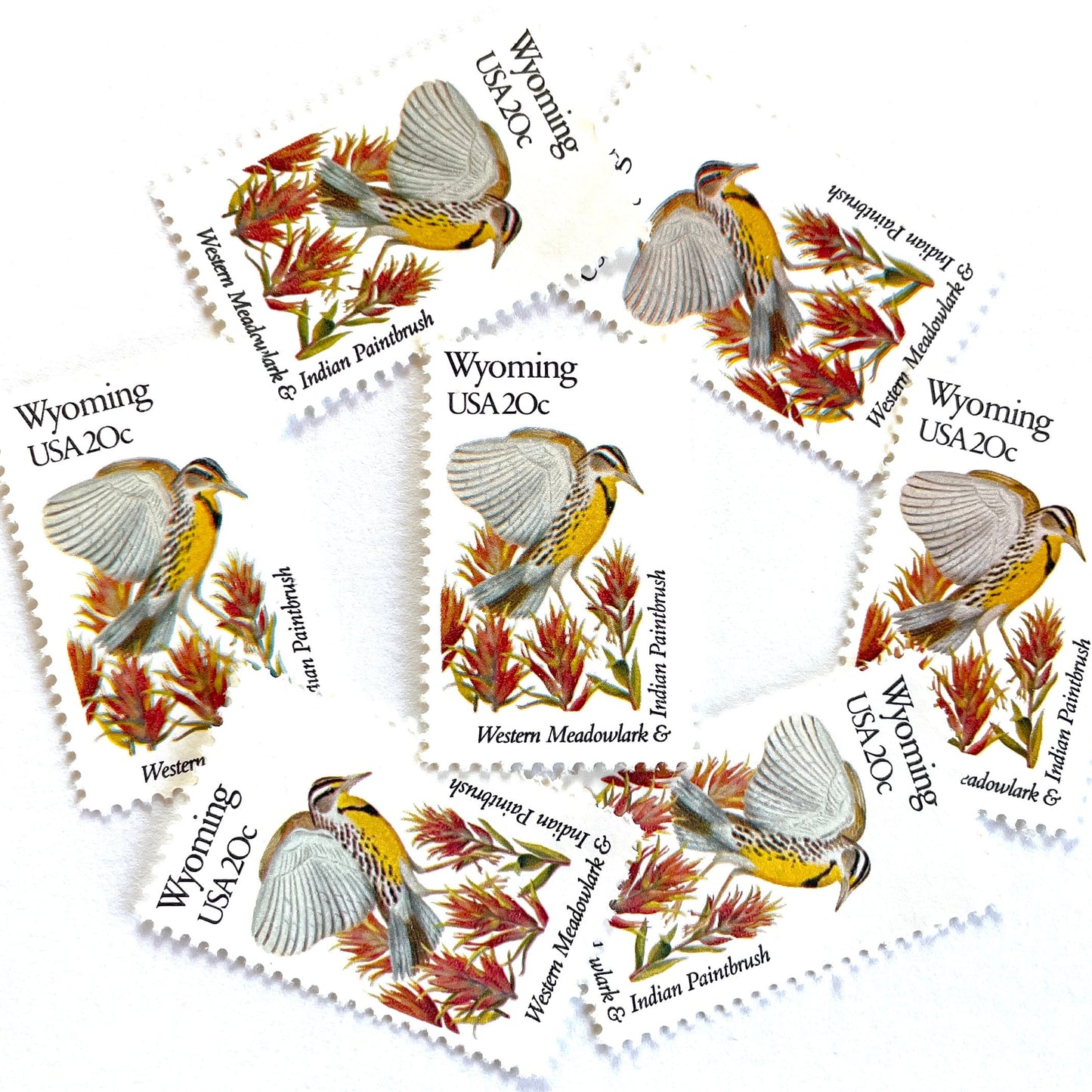 Wyoming State Bird and Flower postage stamps from 1982 featuring a Western Meadowlark and Indian Paintbrush on vintage unused 20-cent USPS postage, Scott 2002.