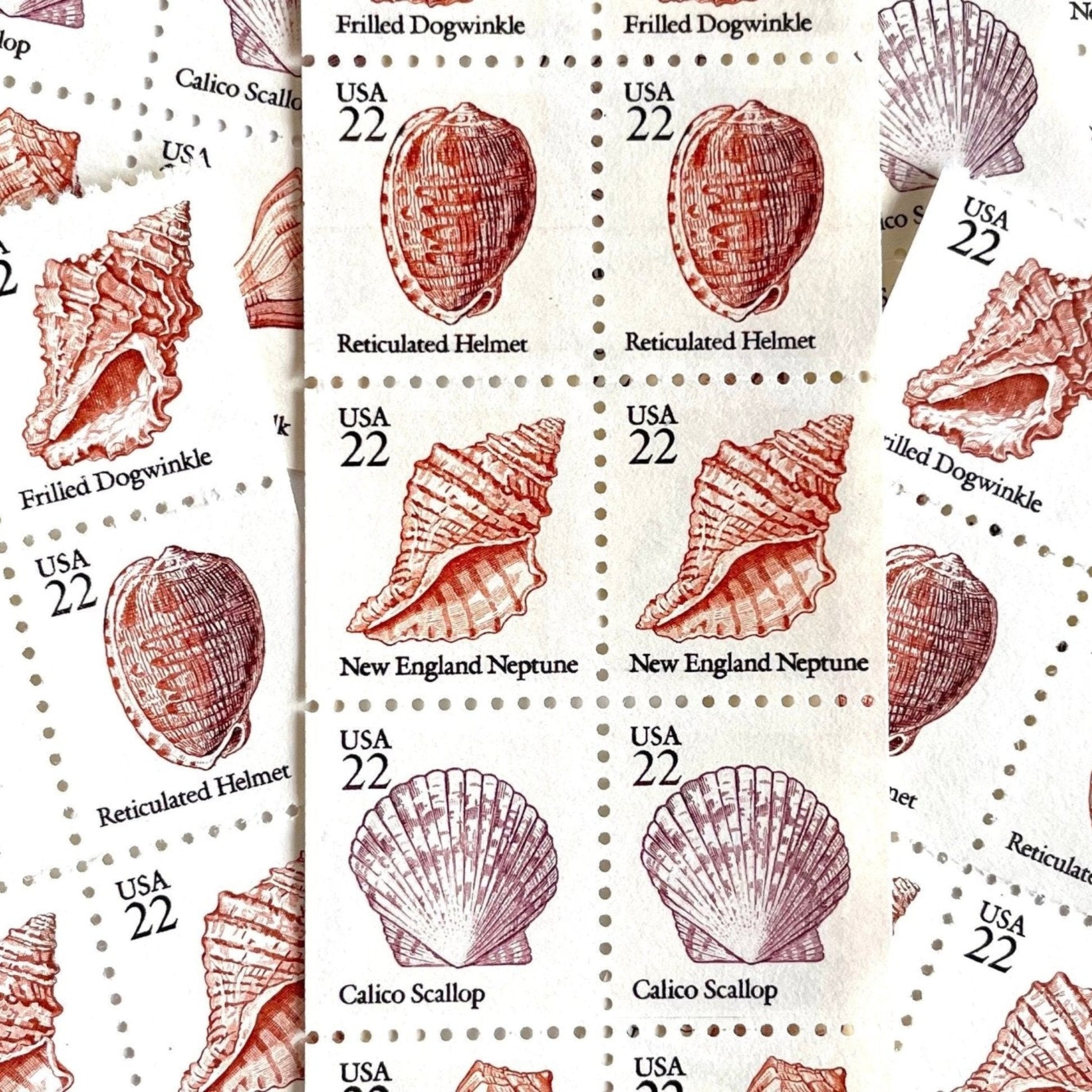 Vintage Unused Seashell Set of 5 Stamps (Beach, Ocean, Sea, Nautical, Pink) USPS Postage 22c ea/$1.10 per set - Heritage Post House - Scott Numbers 2117, 2118, 2119, 2120, 2121