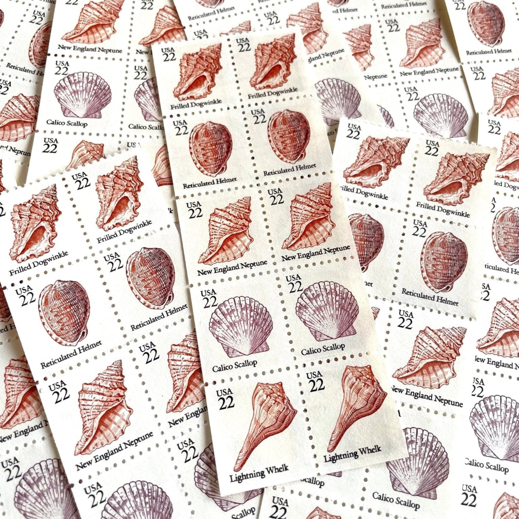 Seashell Set of 5 Stamps (Beach, Ocean, Sea, Nautical, Pink) Vintage U ...