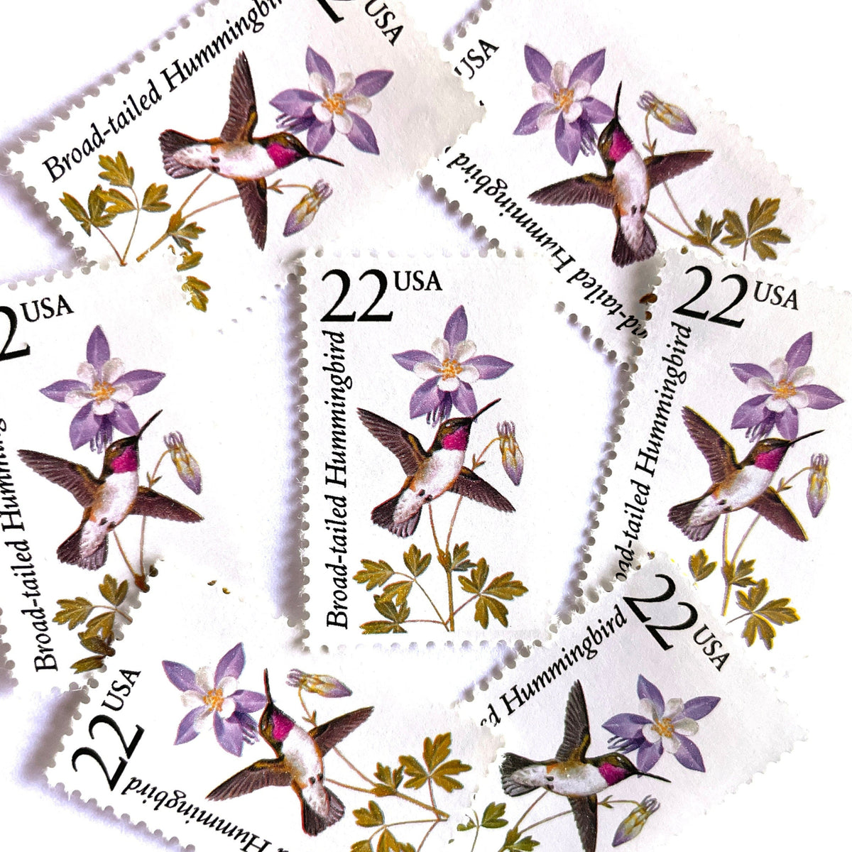 Broad-Tailed Hummingbird Postage Stamps (North American Wildlife Series ...