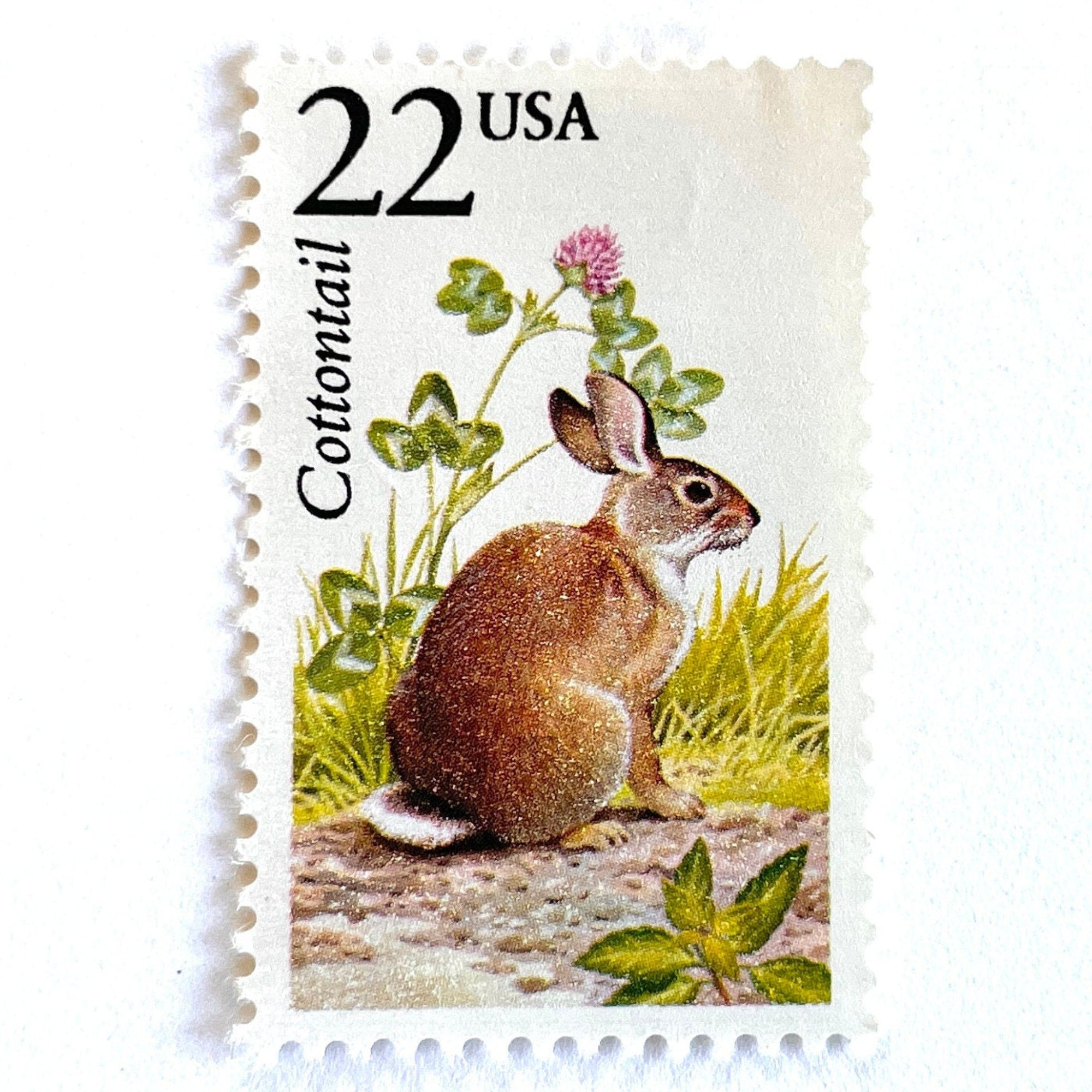 Cottontail Rabbit Postage Stamps (North American Wildlife Series, Bunny ...