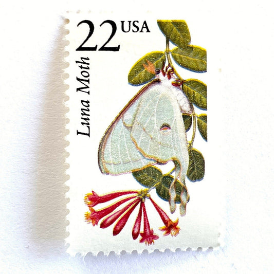 Image of 1987 North American Wildlife Series “Luna Moth” 22-cent vintage unused USPS mail stamps. Scott #2293. Stamp Themes: Wildlife, Nature, Insect, Flying Insect, Silk Moth, Pollinator, Flower, Floral, Botanical, Conservation. Light Green, Green, Red, White, Multicolored postage stamp. Perfect vintage postage stamp to use for save the date announcements, wedding invitation postage, shower invitations, birth announcements, thank you cards, and snail mail.