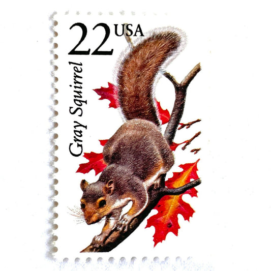 Image of 1987 North American Wildlife Series “Gray Squirrel” 22-cent vintage unused USPS mail stamps. Scott #2295. Stamp Themes: Wildlife, Nature, Squirrel, Rodent, Autumn Scene, Fall Colors, Bushy Tail. Red, Grey, Multicolored postage stamp. Perfect vintage postage stamp to use for save the date announcements, wedding invitation postage, shower invitations, birth announcements, thank you cards, and snail mail.