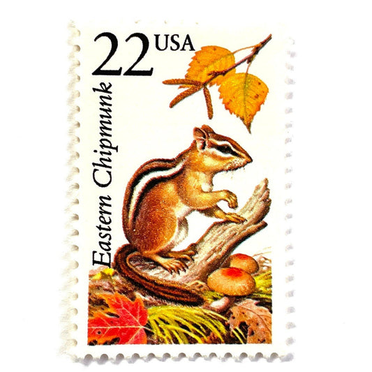 Image of 1987 North American Wildlife Series “Eastern Chipmunk” 22-cent vintage unused USPS mail stamps. Scott #2297. Stamp Themes: Wildlife, Nature, Chipmunk, Rodent, Playful, Autumn Scene, Fall Colors, Mushrooms. Beige, Green, Red, Multicolored postage stamp. Perfect vintage postage stamp to use for save the date announcements, wedding invitation postage, shower invitations, birth announcements, thank you cards, and snail mail.