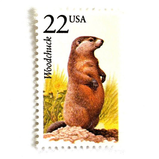 Image of 1987 North American Wildlife Series “Woodchuck” 22-cent mail stamps. Scott #2307. Stamp Themes: Rodent, Groundhog, Groundhog Day, Punxsutawney Phil, Pennsylvania, Woodlands, Fields, Meadows, Burrow, Hibernation. Brown, Green, Multicolored postage stamp.