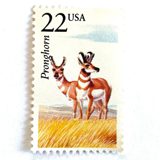 Image of 1987 North American Wildlife Series “Pronghorn” 22-cent vintage unused USPS mail stamps. Scott #2313. Stamp Themes: Wildlife, Nature, Deer, Horns, Southwest, Desert, Grasslands, University of Texas Rio Grande Valley, The Vaquero, Hunting, Fastest Land Mammal in North America, Southwest, Texas. Natural, Neutral, Gold, Multicolored postage stamps. Perfect vintage postage stamp to use for save the date announcements, wedding invitation postage, shower invitations, birth announcements, bachelor party i